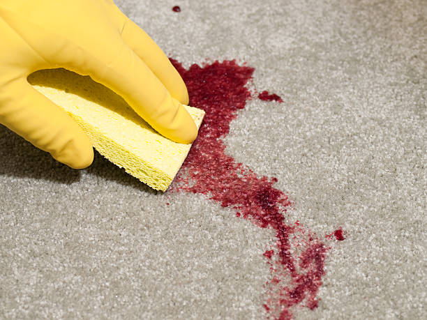 how-to-clean-blood-stains-from-carpet-the-ultimate-guide-diy