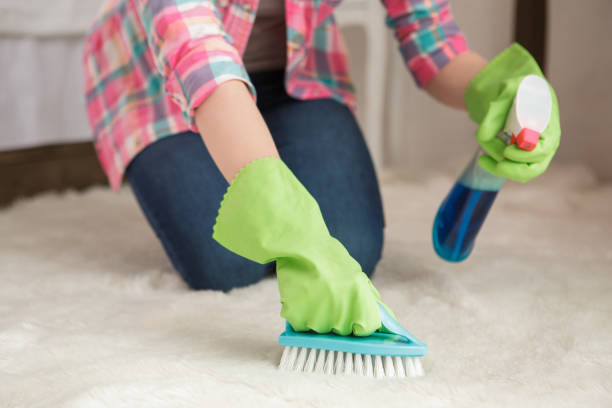 How To Disinfect Carpet Naturally? - DIY Projects & Blog